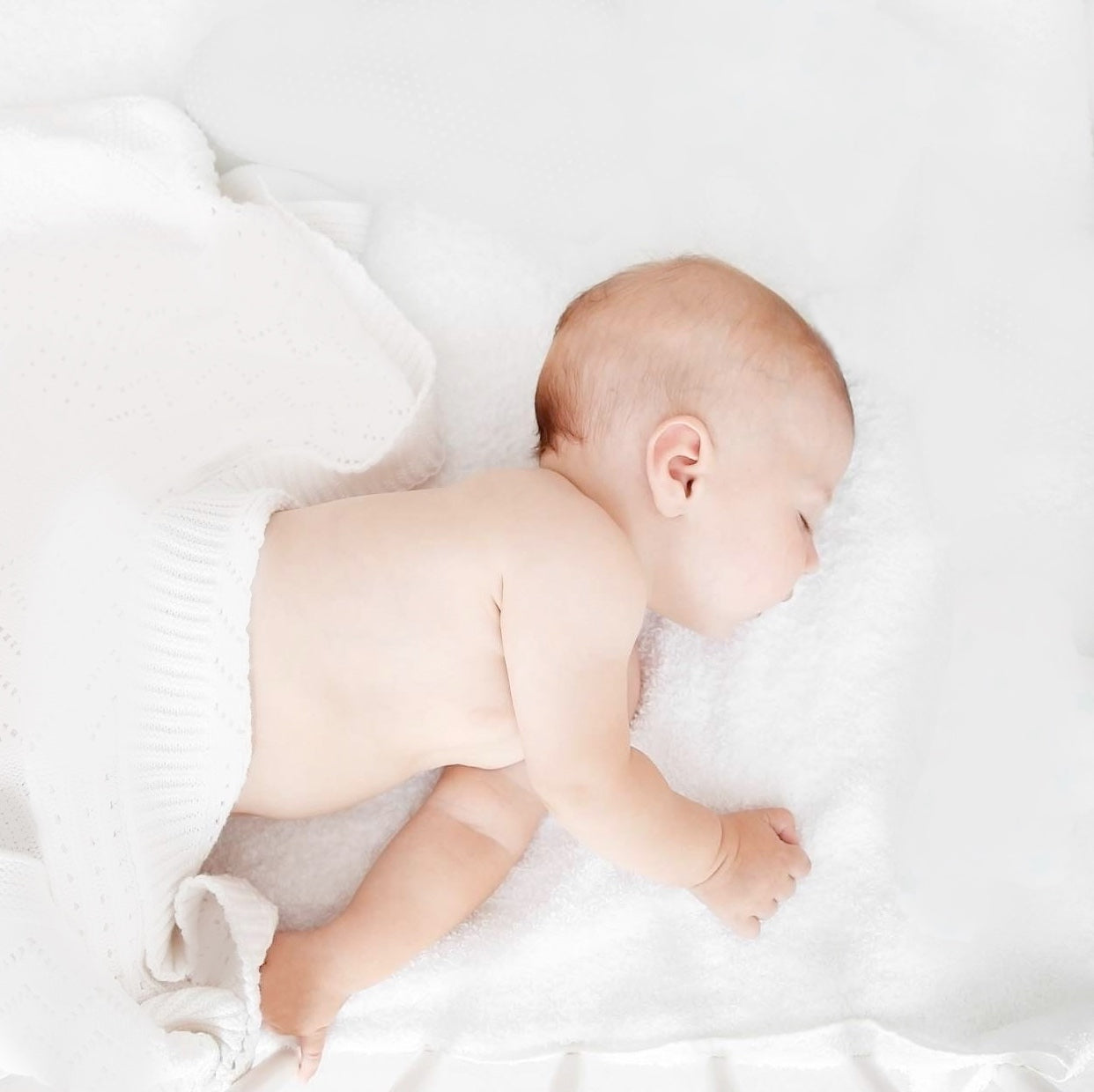 evenflo pack and play mattress Organic Dream Pack and Play Mattress