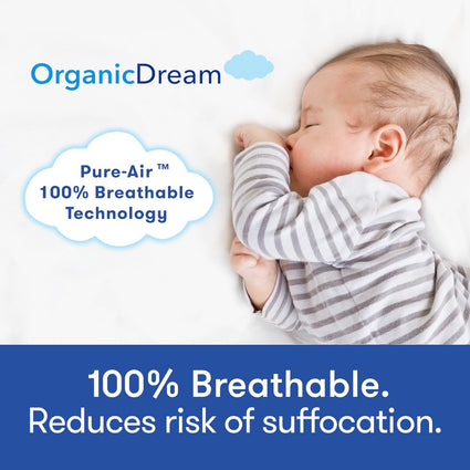 Organic Dream Pack and Play Mattress Playard Mattress I Organic Dream